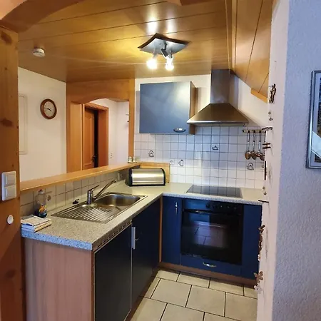 Apartment Schweizer