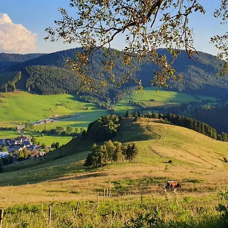 Schweizer