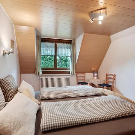 Apartment Schweizer *