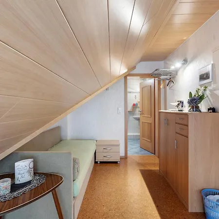 Schweizer Apartment Bernau im Schwarzwald