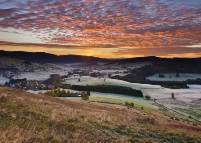 Schweizer * Bernau im Schwarzwald